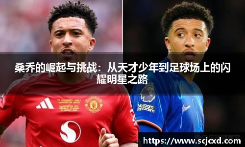 QY千亿球友会，QY球友会官网